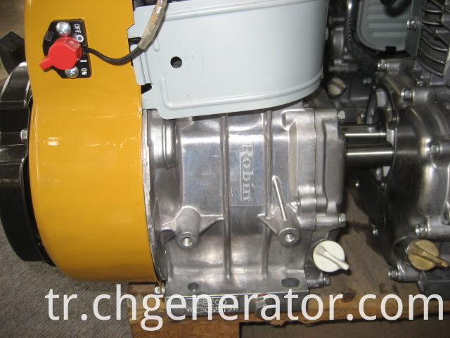 Robin Gasoline Engine